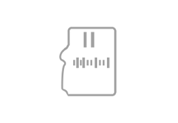 Memory Card